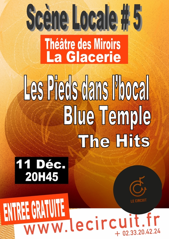 Affiche internet scéne locale 5